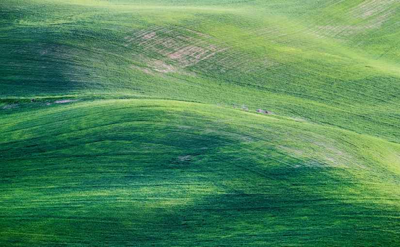 Color Therapy 101:&nbsp;Green